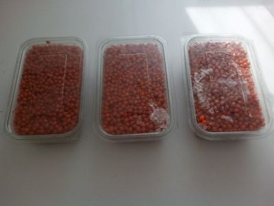 Catina; 25 lei kg

