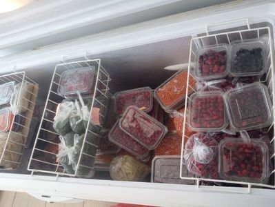 Lada frigo