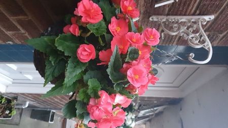 IMG-20240823-WA0067
