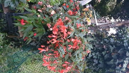 IMG-20240823-WA0051