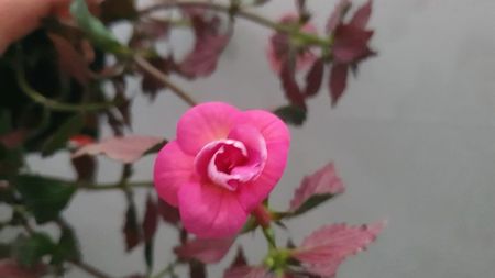 IMG-20240831-WA0047
