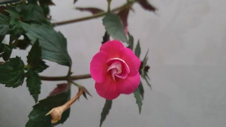 IMG-20240831-WA0049