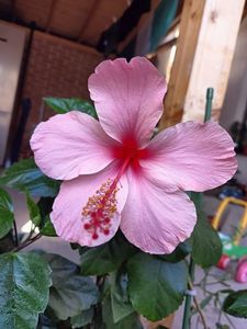 IMG20240829161059