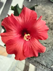 IMG20240630083641