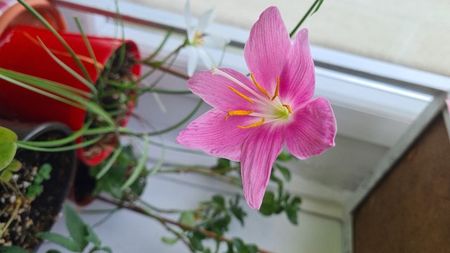 IMG-20240806-WA0000