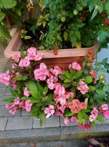 IMG20240906163040