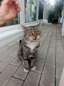 IMG20240906180522