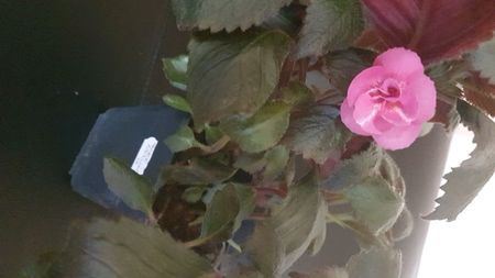 IMG-20240909-WA0128