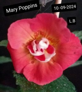 Mary Poppins