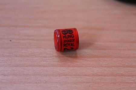 HUNG 2O22 ROYAL