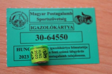 HUNG 2O23