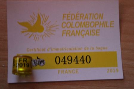 FR 2o19