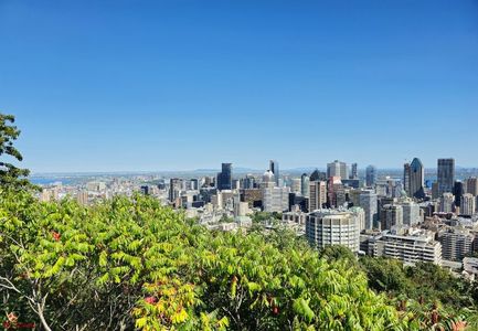 MONTREAL - Panorama 2