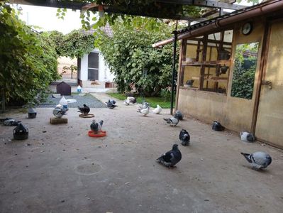 Platforma de beton