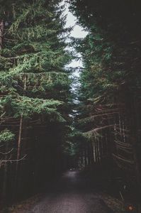 F18B06CC-ED80-4862-B826-F10F4F7EBBF5