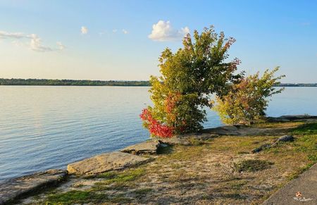 Autumn is coming on Ottawa River