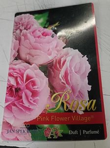 Pink Flower Village -5