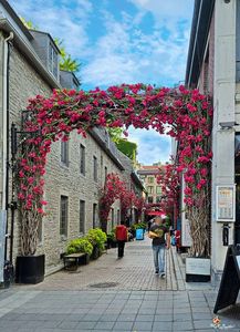 Vieux Montreal