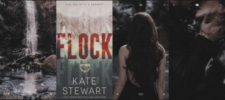 ˓♥♥♥♥♡˒ ⠀⠀⠀⠀⠀⠀⠀⠀‘ᵎF̣ḷọc̣ḳ ᵇʸKateStewart’ ⠀⠀—The Ravenhood¹