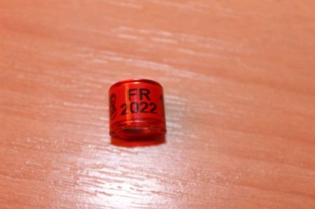 FR 2o22