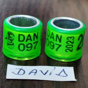 2023-Danemarca