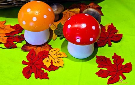 Champignons Decor 1 - Copy