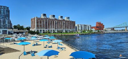 Montreal Old Port 2