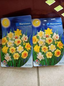25.09.2014-narcise dublu