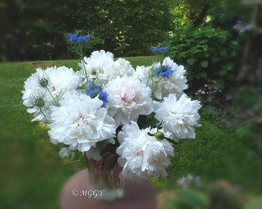 ©; P3500774
