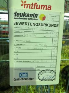 IMG-20241004-WA0043