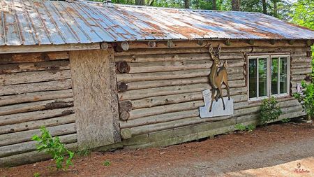 Cabin on the lakeshore