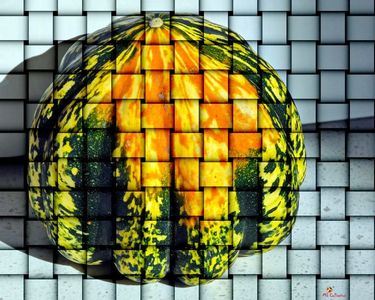 Stripped Pumpkin