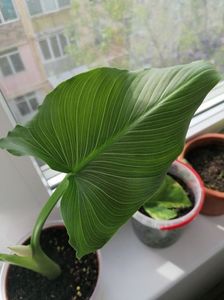 7f2eb5ac-b470-4d05-9634-df90d32607b8-1_all_582