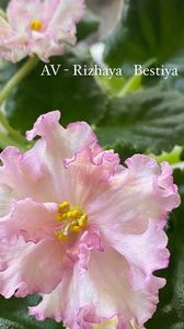 46928FDF-644A-411F-B396-F181C425A427