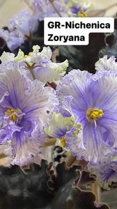 C5152A10-6A96-4808-B7EB-2622ABB7092C