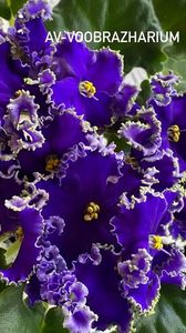 9A48FB8E-B54E-40D1-88F0-5DA88CAEF236