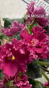 BA517DF0-D7B2-462D-96C8-A67D0D0C344E