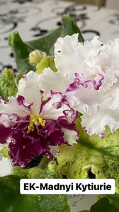 029D4829-EE25-4E22-9B42-5968B6BAEDCB