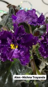 6A31621F-2E8B-450F-9AF3-E89386B869DF