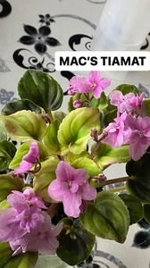 85D81AA6-63E5-460D-950F-7B69F41E279D