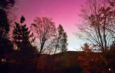Pink Aurora