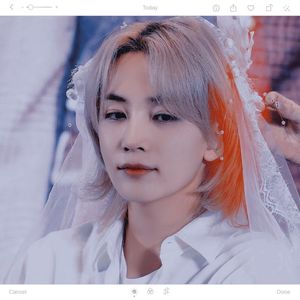 11.10 ⸒⸒ ⠀⠀ʚ⋅ɞ enchant—ing. ✷ tokki.