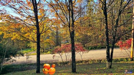 AUTUMN DECO