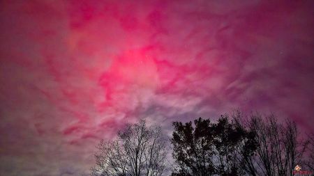 Pink Aurora 2