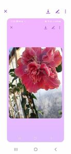 Messenger_creation_01EBE9CE-9672-4051-9D32-A14067800A39