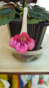 thumbnail (6)