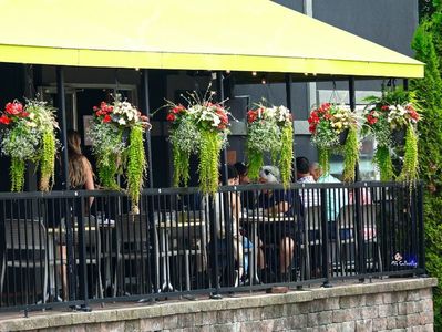 Nice place in Little Italy, Ottawa,ON