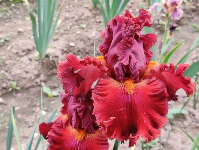 Ready for my closeup