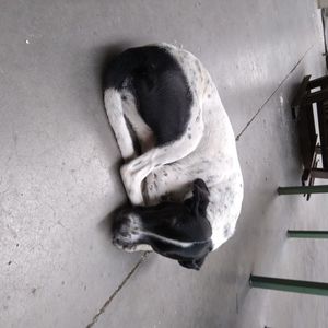 .trashed-1732181589-20241018_120350