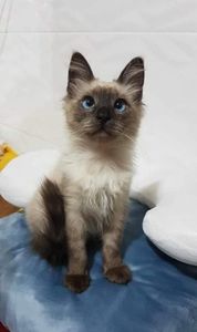 ♡Matilda♡